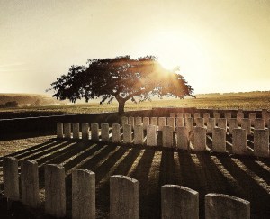 Visit to Fricourt, October 2014.  width=